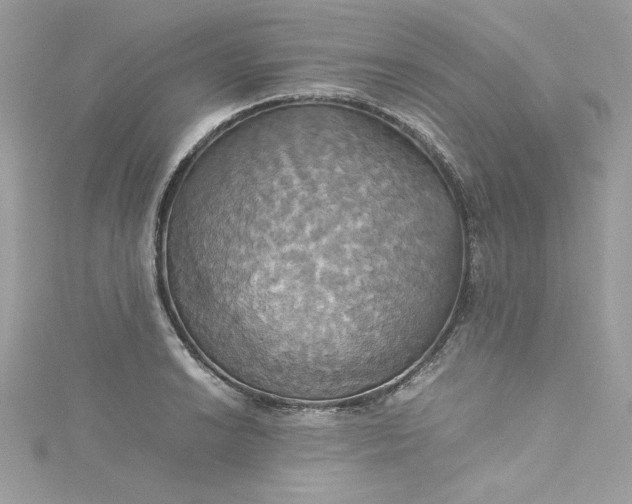 X0000115561038200911201818