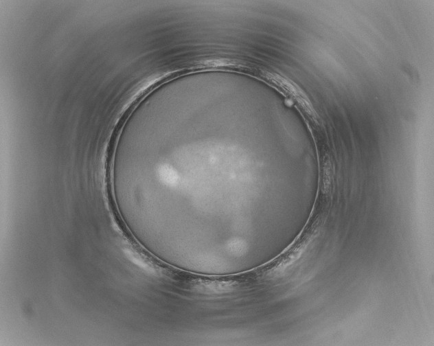 X0000115561039200911201818