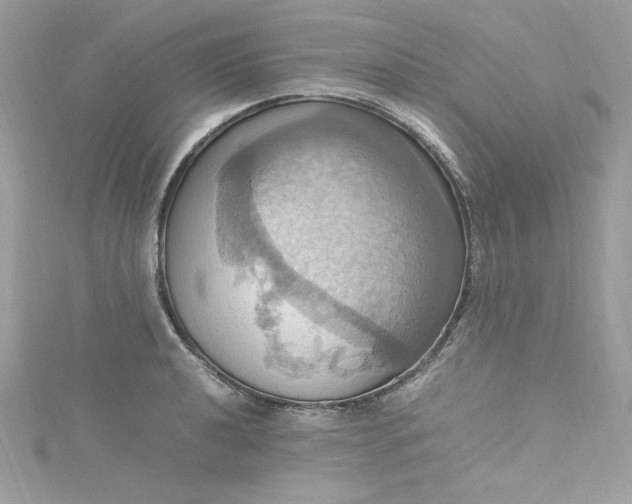 X0000115561040200911201818