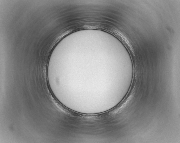 X0000115561041200911201818