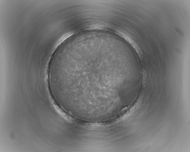 X0000115561042200911201818