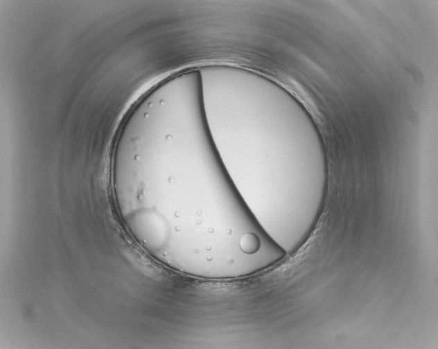 X0000115561044200911201818