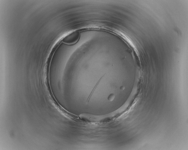 X0000115561045200911201818