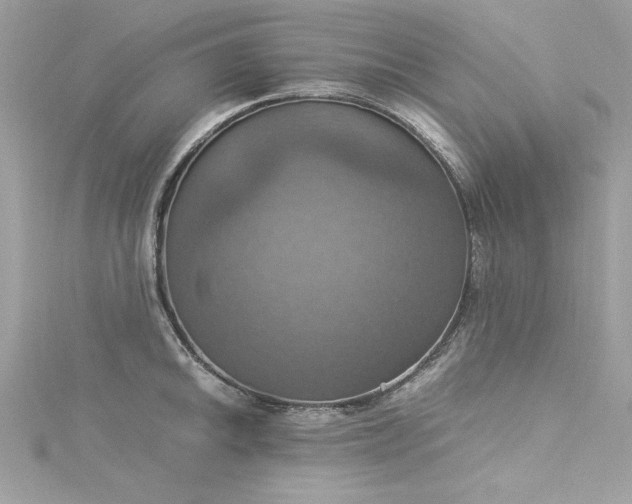 X0000115561046200911201818