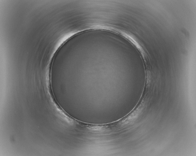 X0000115561048200911201818