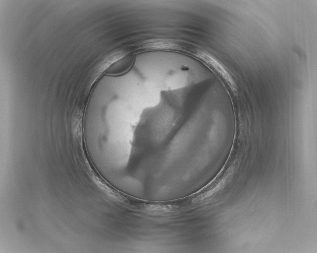 X0000115561049200911201818