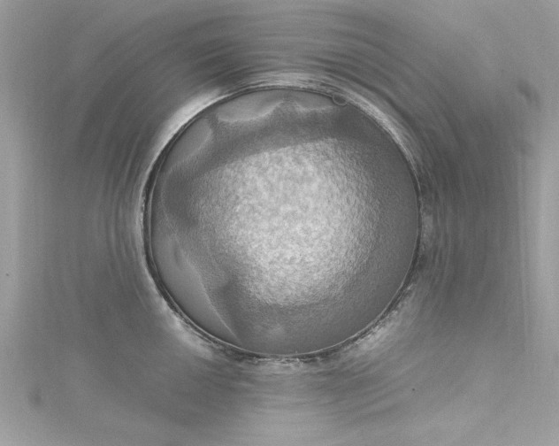 X0000115561050200911201818