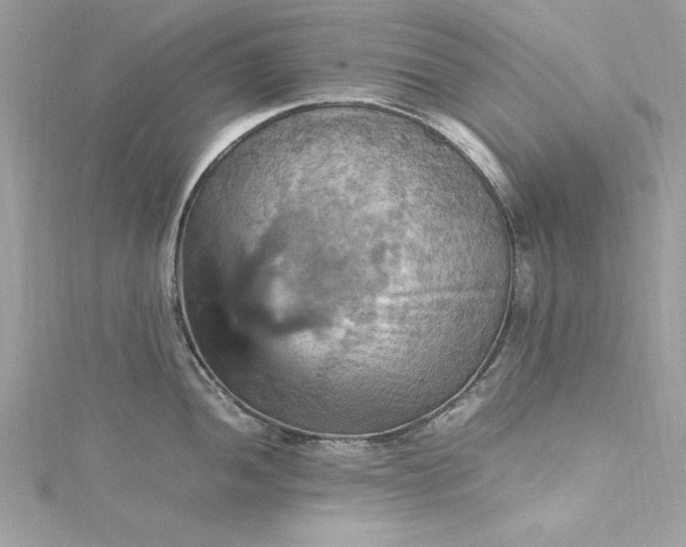 X0000115561052200911201818