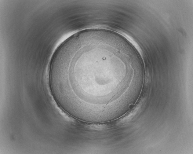 X0000115561053200911201818