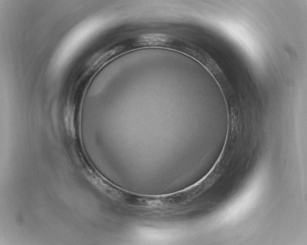 X0000115561054200911201818