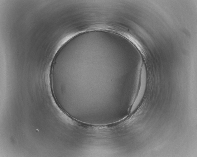 X0000115561055200911201818