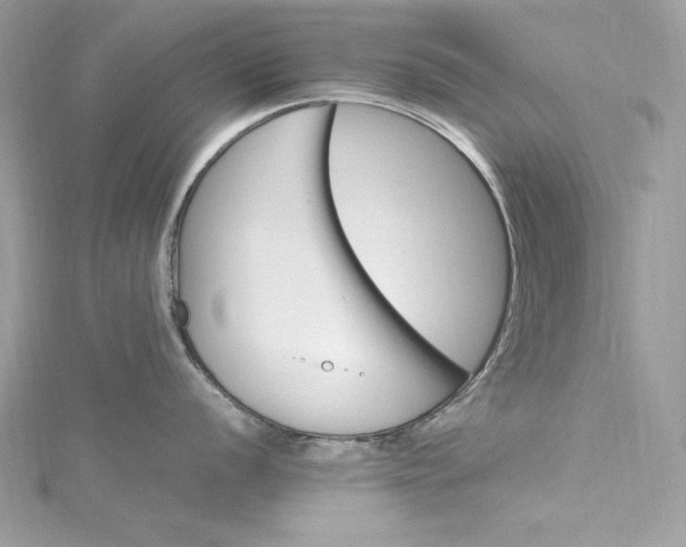 X0000115561056200911201818