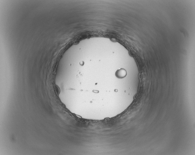 X0000115561057200911201818