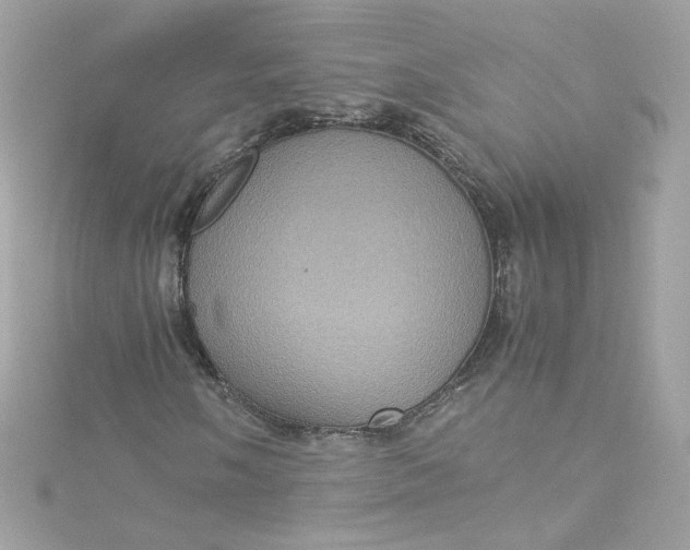 X0000115561058200911201818