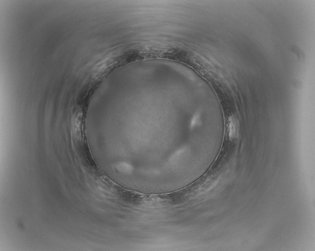 X0000115561059200911201818