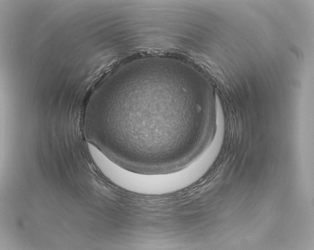 X0000115561060200911201818