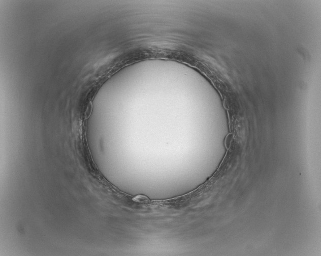 X0000115561061200911201818