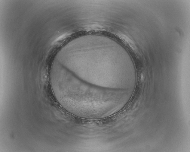 X0000115561063200911201818