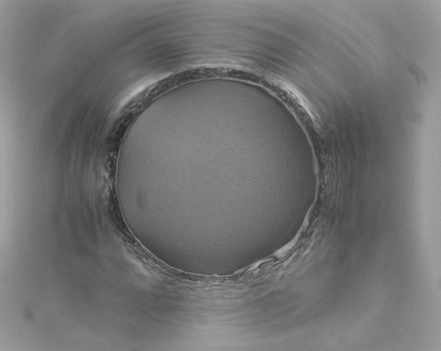 X0000115561064200911201818