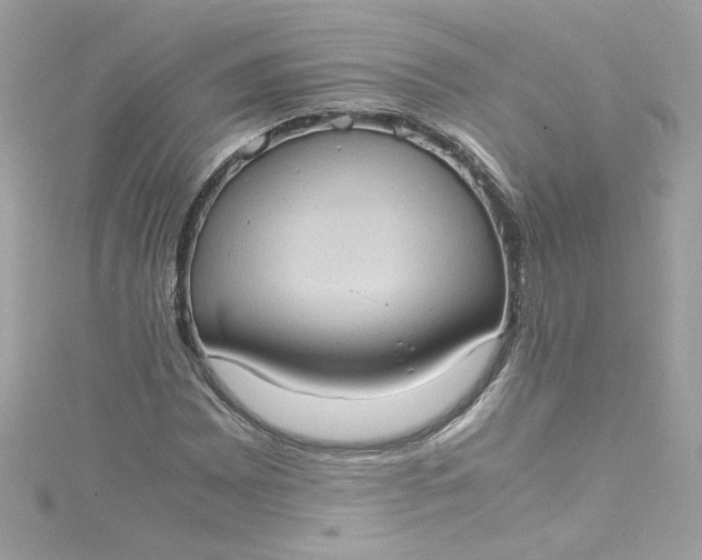 X0000115561065200911201818