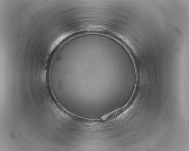 X0000115561066200911201818