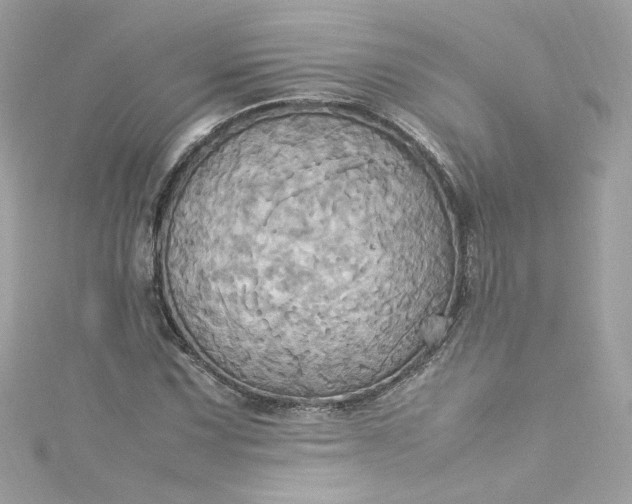 X0000115561067200911201817