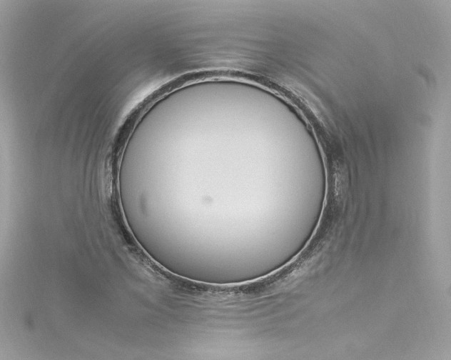 X0000115561069200911201817