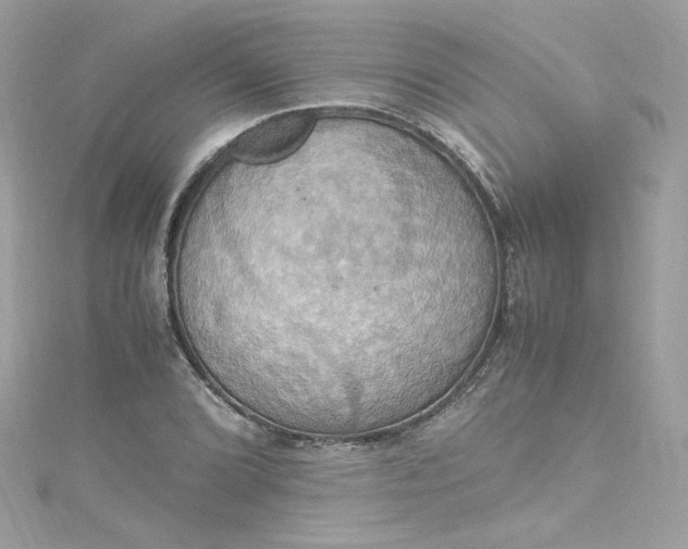 X0000115561072200911201817