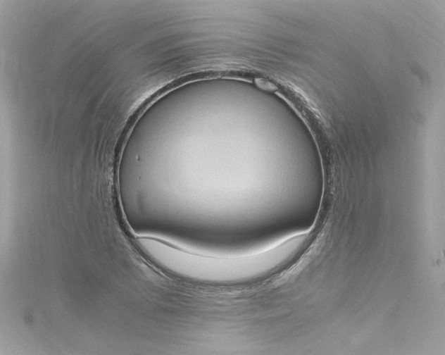 X0000115561073200911201817