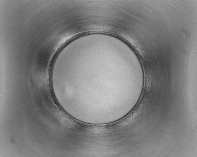 X0000115561074200911201817