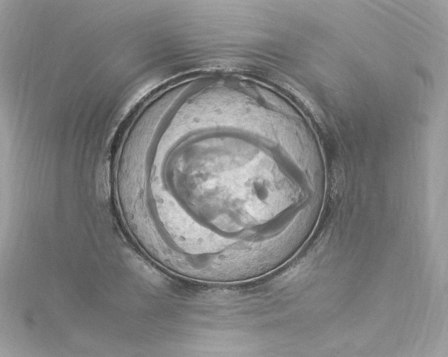 X0000115561075200911201817