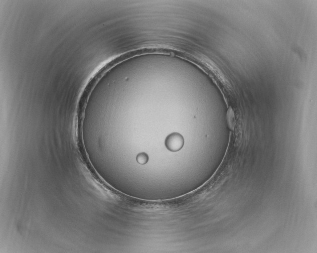 X0000115561076200911201817