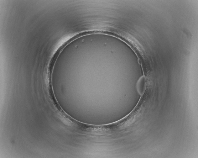 X0000115561077200911201817