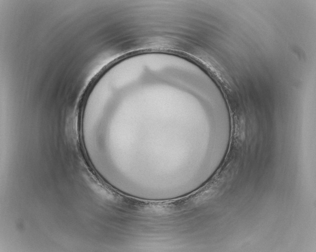 X0000115561078200911201817