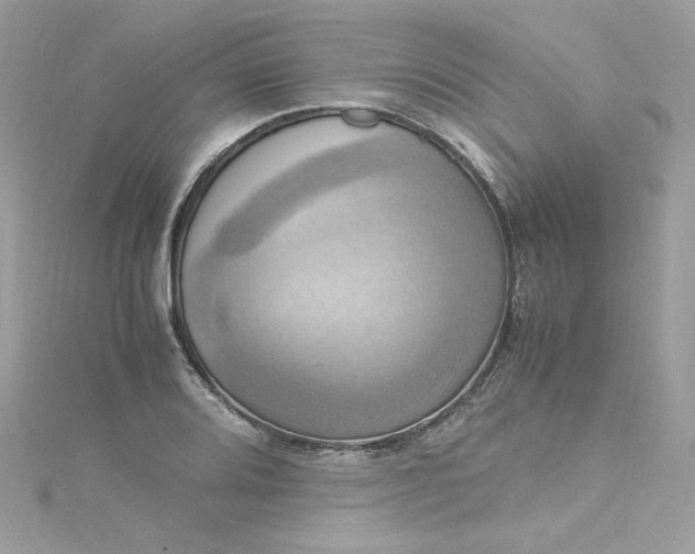 X0000115561080200911201817