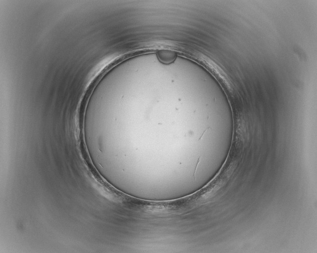 X0000115561082200911201817