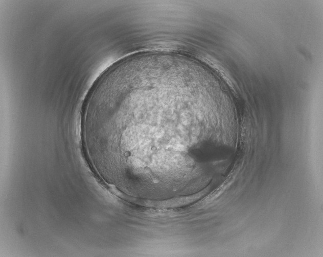 X0000115561083200911201817