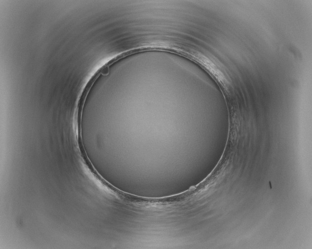 X0000115561084200911201817