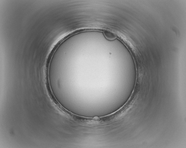 X0000115561085200911201817