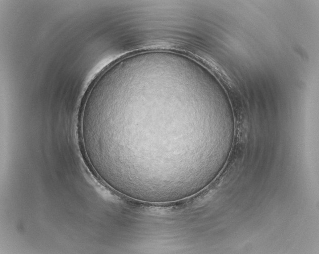 X0000115561086200911201817