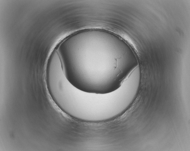 X0000115561088200911201817