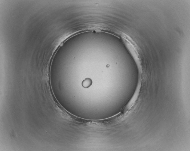 X0000115561089200911201817