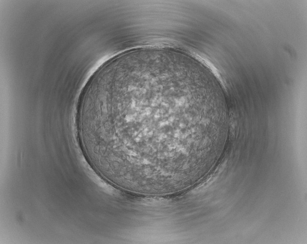 X0000115561091200911201817