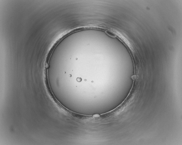 X0000115561093200911201817