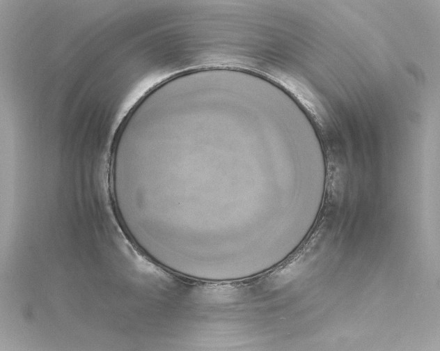 X0000115561094200911201817