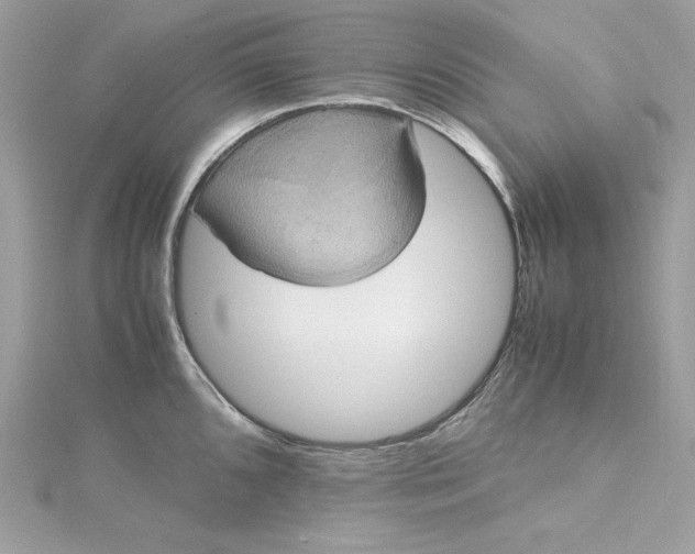 X0000115561096200911201817