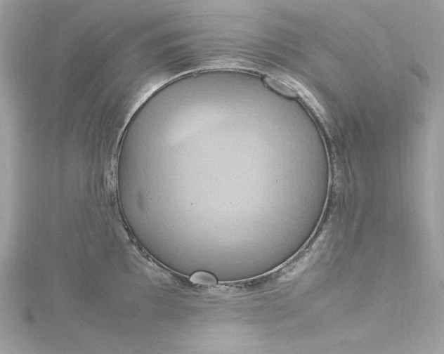 X0000115561097200911201817