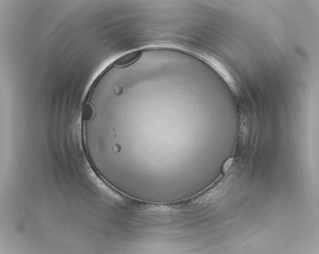 X0000115561100200911201817