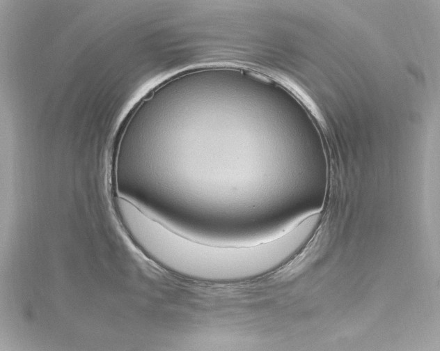 X0000115561101200911201817