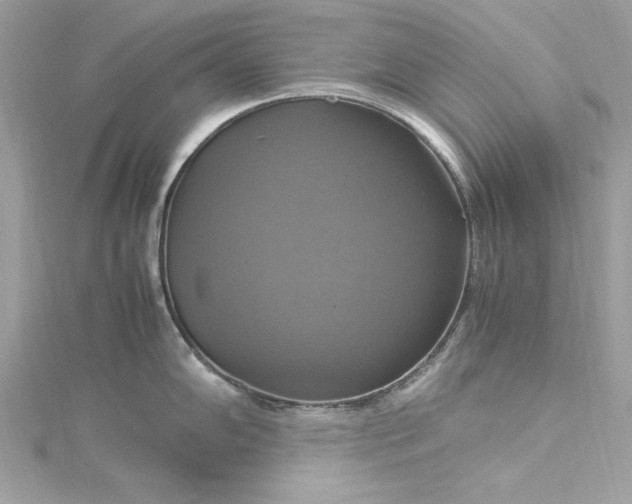 X0000115561102200911201817